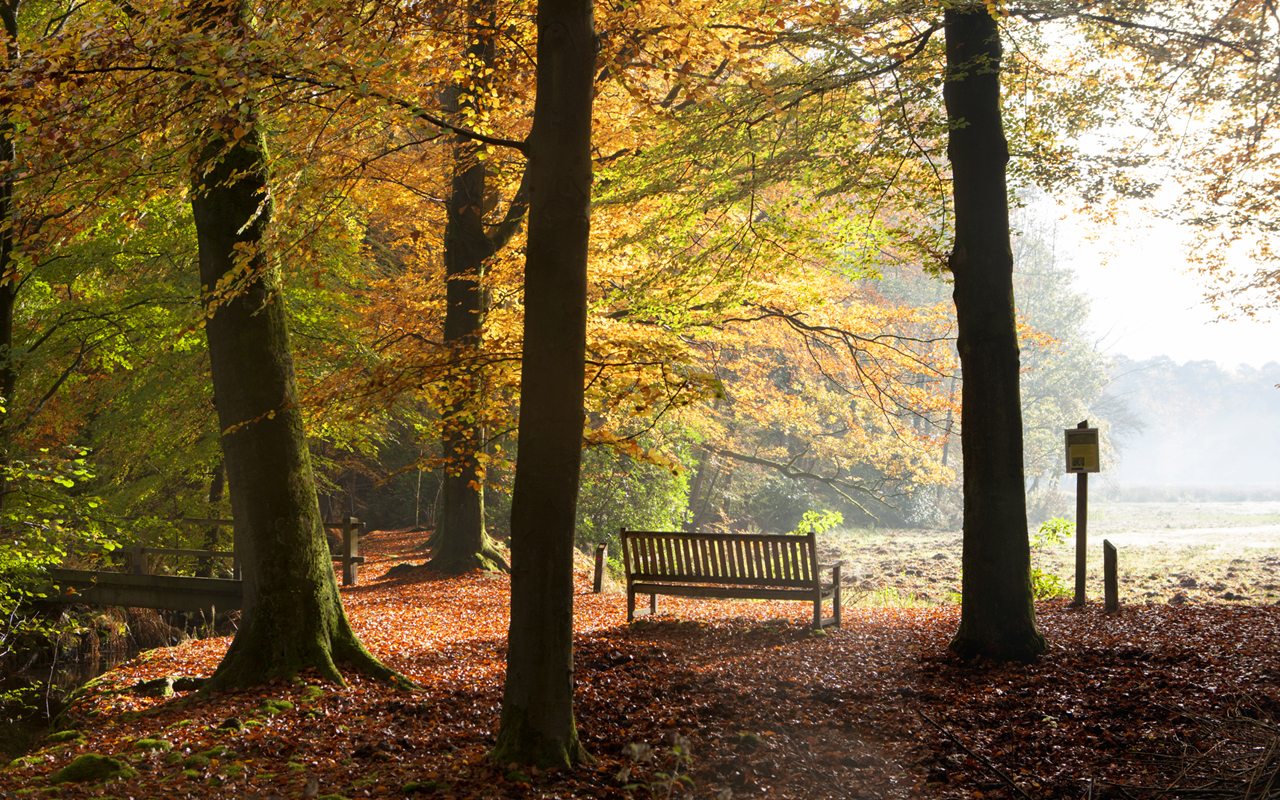 Wandelen vanaf Landgoed Het Roode Koper Relais & Chateaux